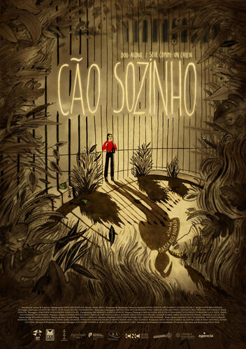 Cão Sozinho